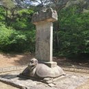 1295 | 보물 제 1295호 괴산 각연사 통일대사탑비