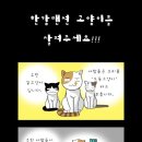 한강맨션고양이 캇툰 3개입니다. 이것만이라도 봐주세요. 이미지