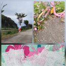 lace frill white_crochet * 용인 수지 분당 뜨개질 배우기 이미지