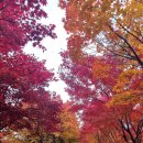 GS25 계림푸른길점 이미지