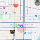 더로얄파크캔버스 케빈플로어 후기 꿀팁 _ TV타워 뷰...오도리공원 크리스마스마켓 The Royal Park...