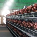 주현농장 이미지