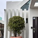 판포3355 이미지