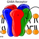 부산정신건강의학과의원 이미지