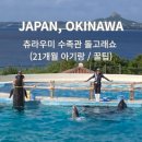 짱 | 오키나와 츄라우미 수족관 돌고래쇼 오키짱 후기 푸드트럭 기념품샵