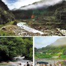 6월29일“화천 비수구미” 평화의땜[걷기 좋은 힐링 숲길 오지마을 비수구미 와 파로호 이미지