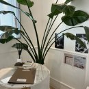 불정로376번길 | 마루필라테스 서현필라테스 서현동 소규모 필라테스센터에서의 운동 후기 ✨