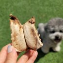 얌얌하개 이미지