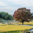 중부대로10 이미지