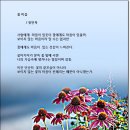 꽃마음