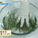 솔명 이미지