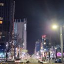 세무법인금진 네이버블로그