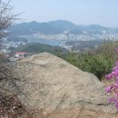 서봉산 산림욕장 1 이미지