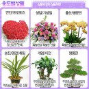 대한민국 대표 꽃배달서비스 꽃을든남자 광고합니다 ^^ 이미지