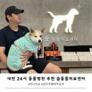 미사숲동물의료센터 | 대전 24시 동물병원 숲동물의료센터(강아지 발바닥 찢어짐)
