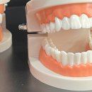 전주예치과의원 이미지