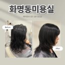 화명동미용실 위닛 화명점 설아, 스타일링 만족도 최고!