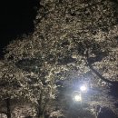 황제참숯뒷고기 이미지