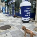 우쭈쭈애견샵 이미지