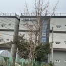 샌드시아 이미지