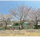 형제농원
