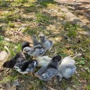 세븐일레븐 진주르네상스점 이미지