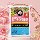 거목