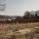 주덕읍사무소 이미지