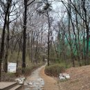 수지생태공원 | 용인 수지 등산로⛰️ | 수지생태공원 &gt; 광교산 가보자고!