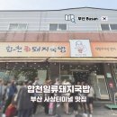 광장로(시외터미널 옆) | 부산 사상 터미널 돼지국밥 찐맛집 합천일류돼지국밥 수육백반 후기