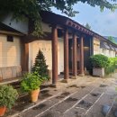 더 포레스트 이미지