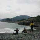 바다번역행정사사무소 이미지