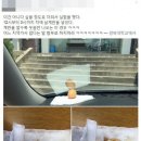 대프리카