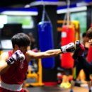 당진Y복싱클럽 이미지