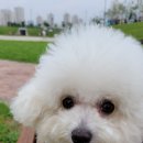 덕수 이미지