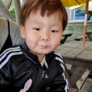 준엽목장 네이버블로그