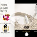 컬러앤래쉬