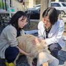 청송동물병원 이미지