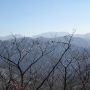 박달봉 Daum카페