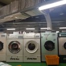 백광세탁 이미지