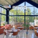 나무와숲어린이집 | 경주 썬트리휴 울산 근교 숲체험 카페 아이랑 갈만한곳