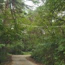 약수터산장 | [함안] 함안 오리고기 마운틴 뷰 맛집 '약수터 산장' 후기