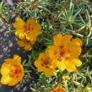 희수농장 이미지