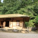 문경 오미자테마터널 이미지