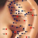 한국이침협회 이미지