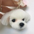 예쁜강아지 이미지