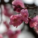 아산아구찜 이미지