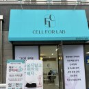 효성해링턴플레이스 1단지 109동 건너편 | 울산 북구 명촌동 셀포랩 퍼스널점 방문후기