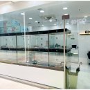 강아지분양 마이댕냥 일산점 이미지