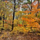 기룡산 등산로6 이미지